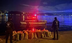 İstanbul'da 2,5 ton canlı midye ele geçirildi