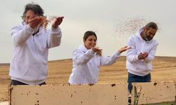 Yadigâr Buğdaylar projesi devam ediyor