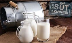 Süt sektörü Antalya’da bir araya gelecek