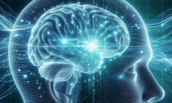 Danimarka’da sperm bankasında IQ sınırı