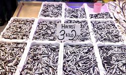 Trabzon'da tezgahlarda hamsinin kilosu 75 lira