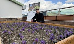 Ülkü Ocakları Genel Merkezi'nin Terasında Gizemli Görüntüler