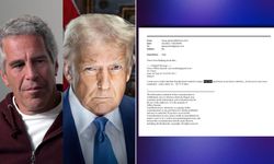 Epstein'den Trump'a: "Havlamayan köpek"