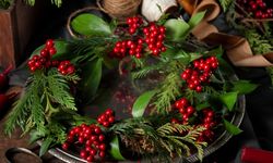 10 yıl önce kimse bilmiyordu, şimdi yok satıyor!