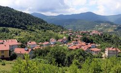 Mahalleye dönüşen küçük yerleşimlere “basit usul” istisnası