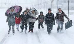 11 Aralık okullar tatil mi? Van, Hakkari, Siirt, Şırnak ve diğer illerde gözler valilik kararında!