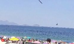 Brezilya'da uçak düştü: Pilot hayatını kaybetti