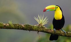 2026'da seyahat etmek için en iyi 20 destinasyon