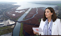 CHP’li Rızvanoğlu: İstanbul’un su güvenliği tehlikeye atılıyor