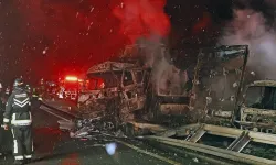 Japonya'da otoyolda can pazarı : 50 araç birbirine girdi