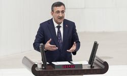 Vatandaşlık maaşı geliyor: Cumhurbaşkanı Yardımcısı Yılmaz tarih verdi!