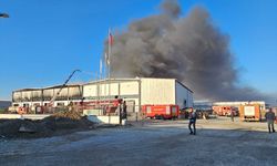 Denizli'de korkutan fabrika yangını!