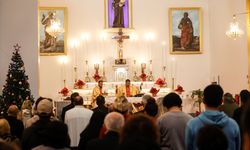 Kardeşlik ve barış: Güvercinler ve zeytin fidanları bir arada