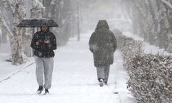 Türkiye kara teslim oldu