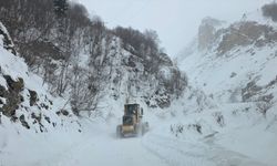 Artvin'de çığ felaketi: Çobanlar altında kaldı!