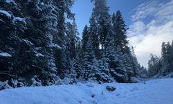 Bolu'nun yüksek kesimleri beyaz örtüyle süslendi