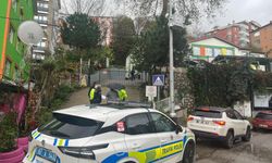 Kamyonetin kayması 4 yaşındaki çocuğun canını aldı