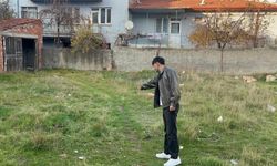 Eskişehir'de boş bir arsada 8 kedinin öldürüldüğü iddia edildi