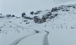 Mersin'e nadir gelen kar yaylaları beyaza bürüdü