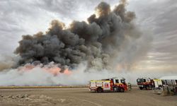 Avustralya’da devam eden orman yangınlarında itfaiye görevlisi öldü