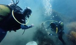 Denizlerde 11 yılda 112 bin futbol sahası büyüklüğünde hayalet ağ temizliği