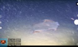 Kayıp uçağın yeri bulundu mu? Yarım asırlık sır perdesi