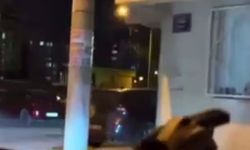 Elinde tabanca ile sokakta ateş edip tehditler savurdu