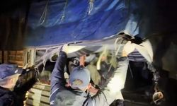 Bitlis'te tır dorsesinde 31 göçmen yakalandı