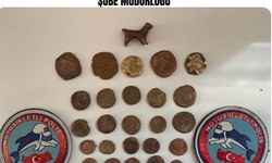 Mardin’de 45 sikke ve hayvan figürlü heykel ele geçirildi