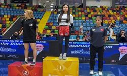 Bilecikli sporculardan, Türkiye derecesi