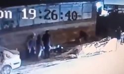 Başıboş sokak köpeği 3 kişiye saldırdı