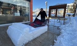 Herkes kardan gelin damat yaparken o yatak yapmayı seçti