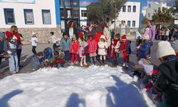 Yurdun geneli karla kaplanırken Bodrumlular sahte karla yetindi