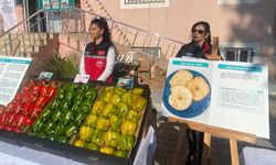 Antalya’dan 7 yerel ürün coğrafi işaret bekliyor