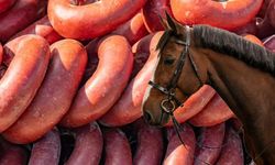 Bakanlık  bir gıda terörünü daha ifşa etti! Sucuk diye at eti yedirdiler