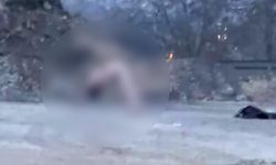 Köprü altında akıllara durgunluk veren görüntüler