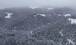 Beyaza bürünen Ilgaz Dağı havadan görüntülendi