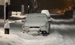 Beyaz esaret kendini yarım metreyle gösterdi