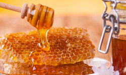 Doğu Karadeniz’in bal ihracatı uçtu: Almanya’ya satış yüzde 103 arttı