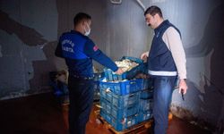 Kötü koku sonrası harekete geçildi: Çok sayıda bozuk tavuk ele geçirildi