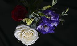 Türkiye yılbaşı için 35 ülkeye 12 milyon dolarlık çiçek ihraç etti