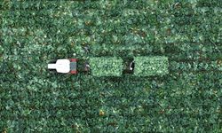 Çiftçi Kayıt Sistemi'ne kayıtta son gün 31 Aralık: Zirai destek için zorunlu