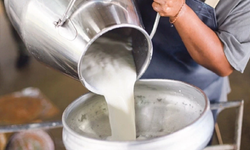 Çiğ sütün üretim maliyeti açıklandı!