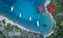 MICHELIN 2026’ya damga vuran yeni yıldızlar