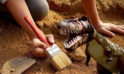 Çin’de 200 milyon yıllık dinozor ayak izleri keşfedildi