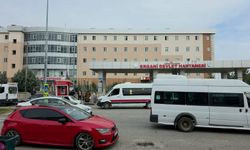 Gözü dönen damat dehşet saçtı: Kayınpeder ve kayınbiraderini öldürdü