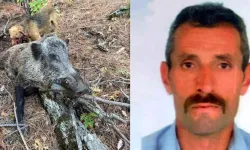 Avcının felaket sonu: Domuz saldırısı sonucu hayatını kaybetti!