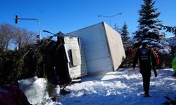 Erzurum’da kontrolden çıkan kamyon devrildi, ağacı kökünden söktü