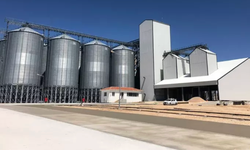 TMO'ya 500 milyon liralık vurgun! Çok sayıda şüpheli gözaltında