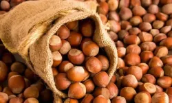 Karadeniz'in fındık lideri alarm veriyor